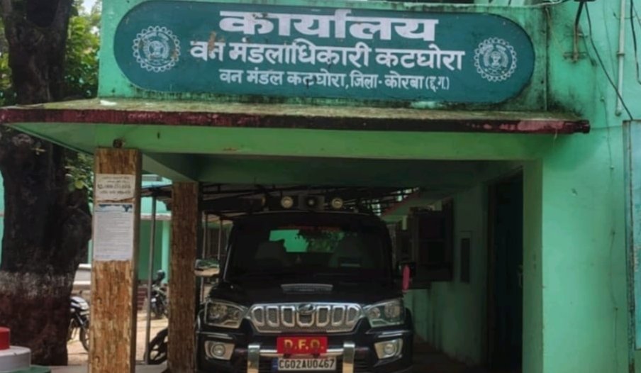 कटघोरा वन मंडल: तेलसरा सर्किल में सैकड़ों पेड़ों की अवैध कटाई, वन विभाग बेखबर
